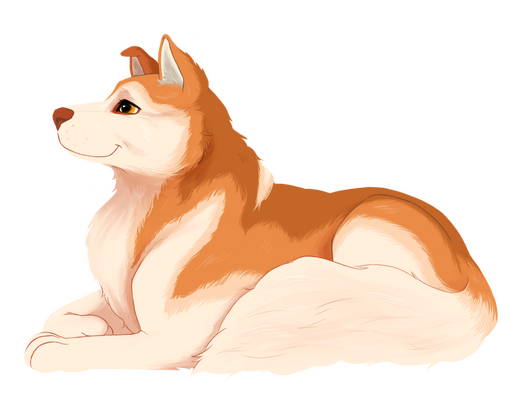 pet portrait: $30