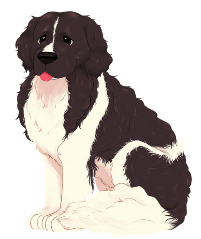 pet portrait: $30